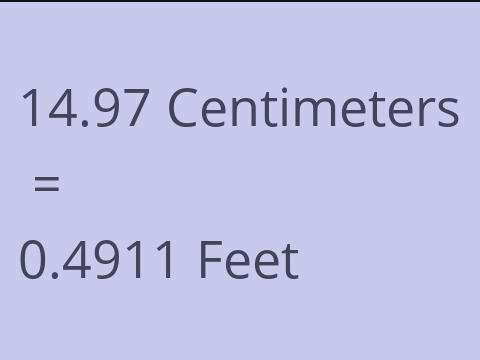 14.97 CM TO FEET