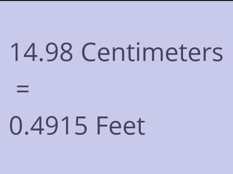 14.98 CM TO FEET