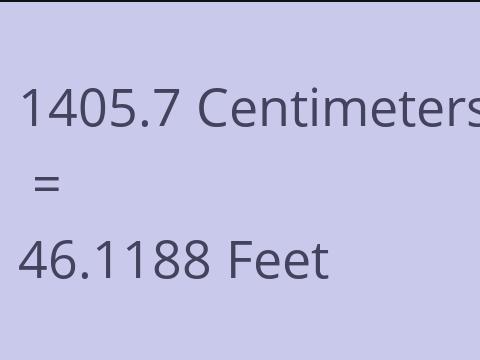 1405.7 CM TO FEET