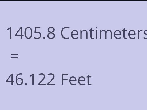 1405.8 CM TO FEET