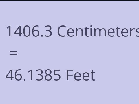 1406.3 CM TO FEET