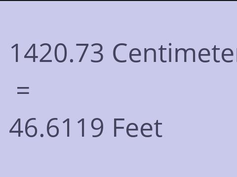 1420.73 CM TO FEET