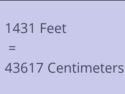 1431 FEET TO CM