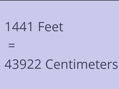 1441 FEET TO CM