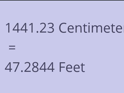 1441.23 CM TO FEET