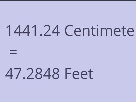 1441.24 CM TO FEET