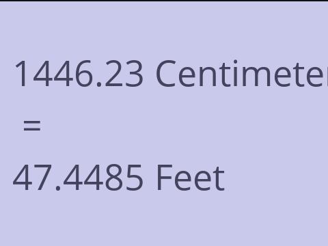 1446.23 CM TO FEET