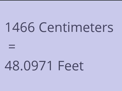 1466 CM TO FEET