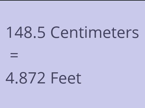 148.5 CM TO FEET