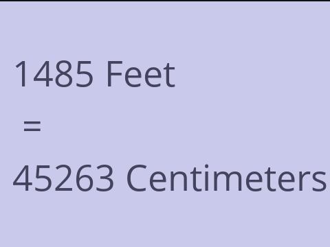 1485 FEET TO CM