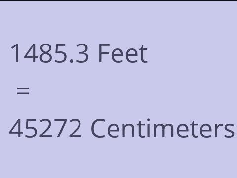 1485.3 FEET TO CM