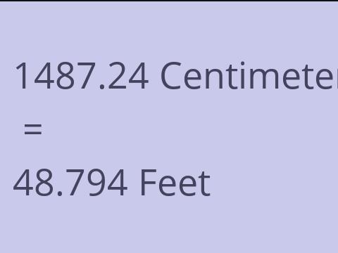 1487.24 CM TO FEET