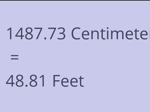 1487.73 CM TO FEET