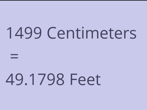 1499 CM TO FEET