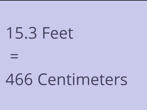 15.3 FEET TO CM