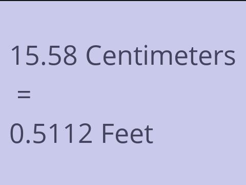 15.58 CM TO FEET