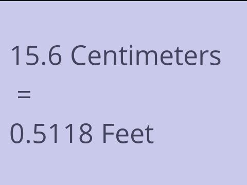 15.6 CM TO FEET