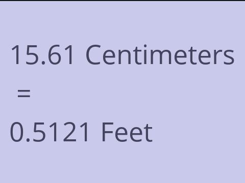 15.61 CM TO FEET