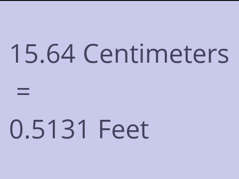 15.64 CM TO FEET