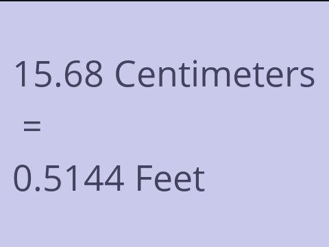 15.68 CM TO FEET