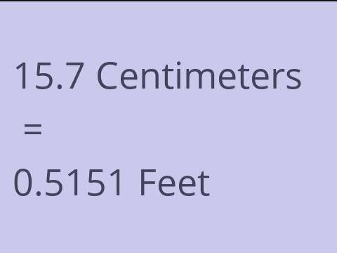 15.7 CM TO FEET