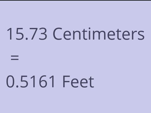 15.73 CM TO FEET