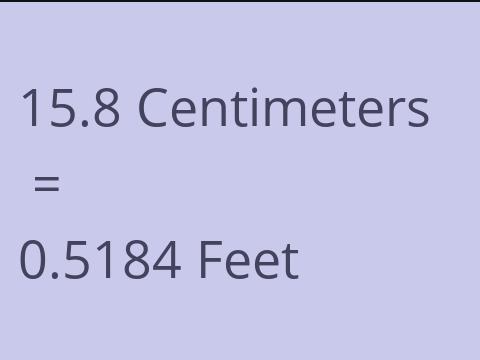 15.8 CM TO FEET