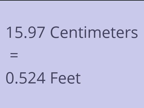 15.97 CM TO FEET