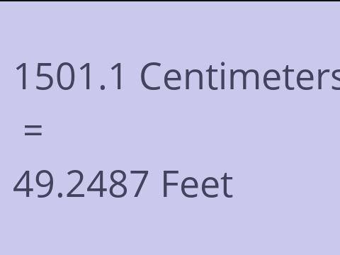 1501.1 CM TO FEET