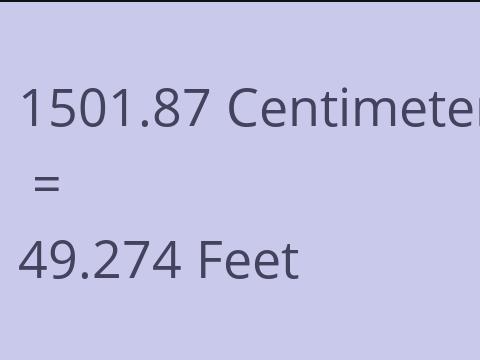 1501.87 CM TO FEET