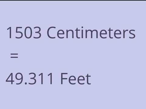 1503 CM TO FEET