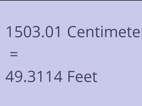 1503.01 CM TO FEET