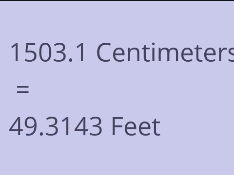 1503.1 CM TO FEET