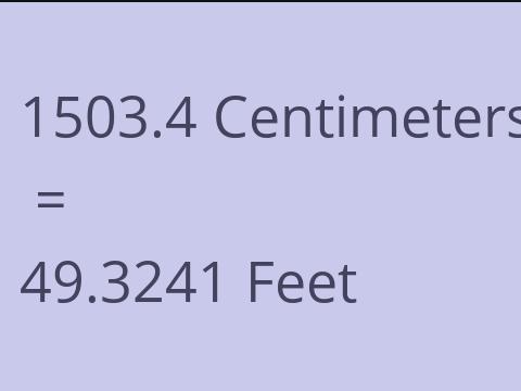 1503.4 CM TO FEET