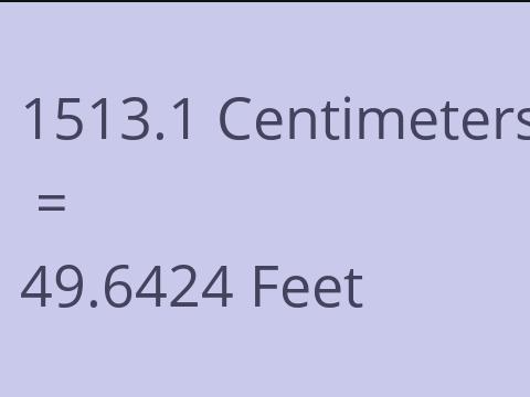 1513.1 CM TO FEET