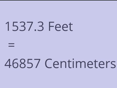 1537.3 FEET TO CM