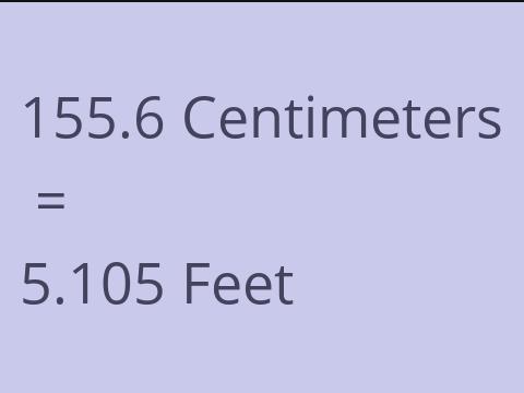 155.6 CM TO FEET