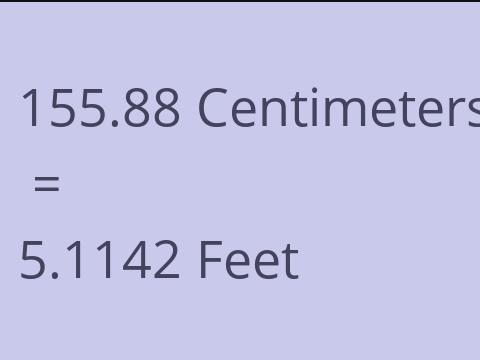 155.88 CM TO FEET