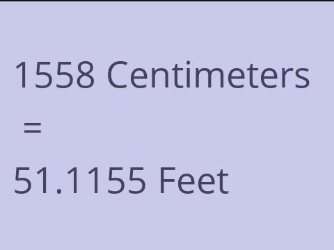 1558 CM TO FEET