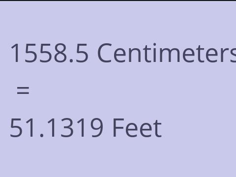 1558.5 CM TO FEET