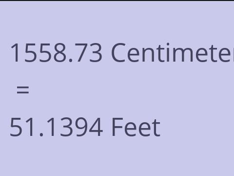 1558.73 CM TO FEET