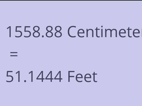 1558.88 CM TO FEET