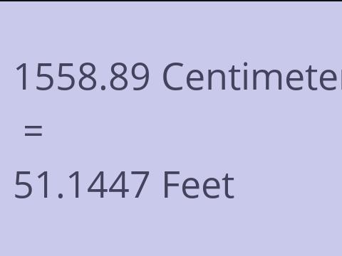 1558.89 CM TO FEET