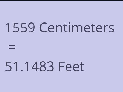 1559 CM TO FEET