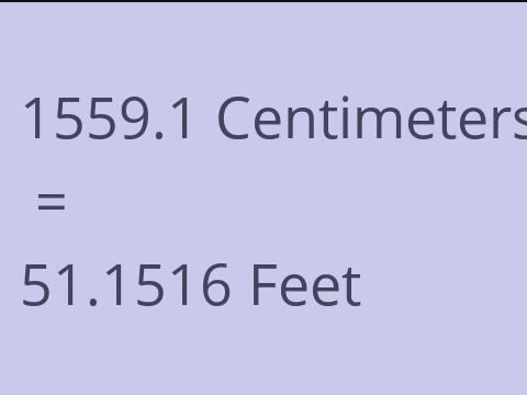 1559.1 CM TO FEET