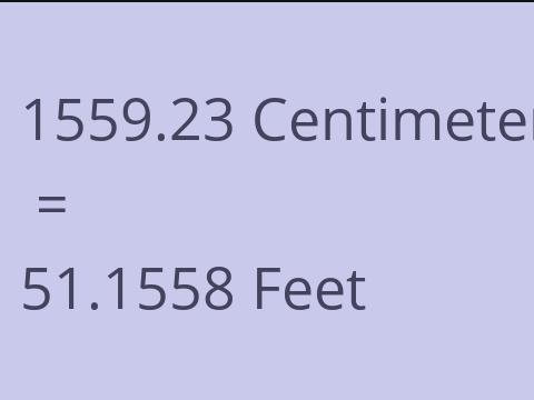 1559.23 CM TO FEET