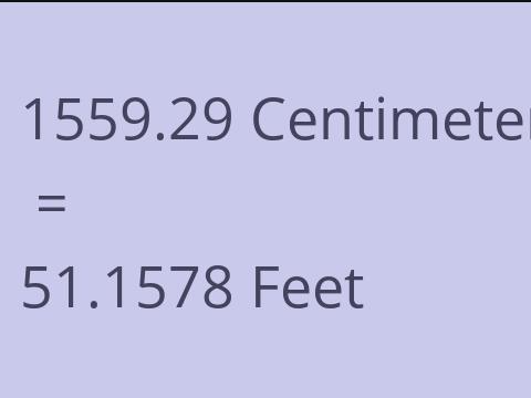 1559.29 CM TO FEET