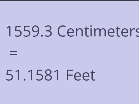 1559.3 CM TO FEET