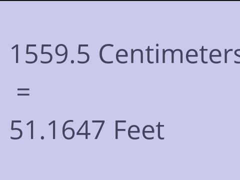 1559.5 CM TO FEET