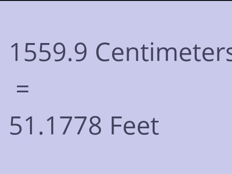 1559.9 CM TO FEET